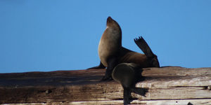 1_20170813_DC_Trip1_SHoerbst_IMG_55_580x387_1504598383