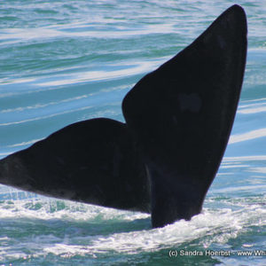 1_20170813_DC_Trip2_SHoerbst_IMG_33_580x387_1504598381