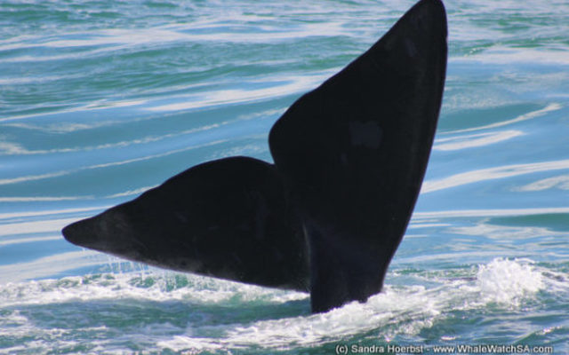 1_20170813_DC_Trip2_SHoerbst_IMG_33_580x387_1504598381