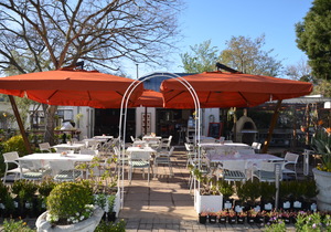 In your Greyton Garden In September