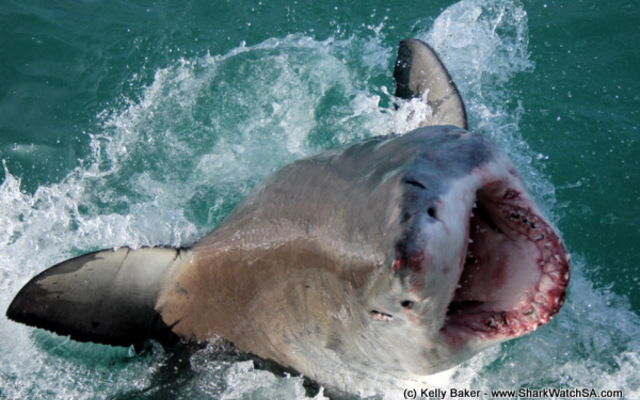 20170906_SF_Trip1_KBaker_IMG_115_1504780819