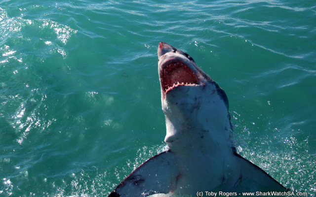 20170906_SF_Trip2_TRogers_IMG_011_001_1504780821