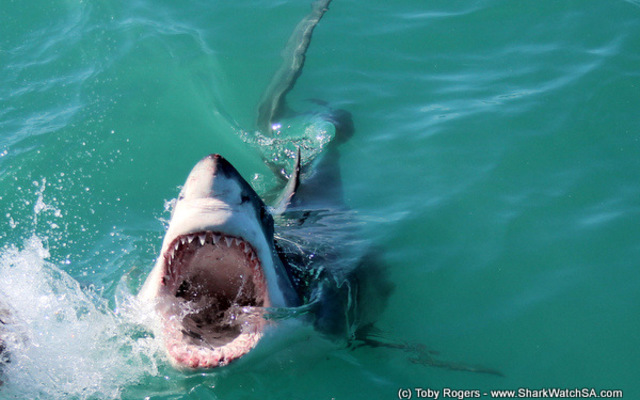 20170906_SF_Trip2_TRogers_IMG_085_001_1504780818