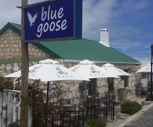 "Absolutely delicious"