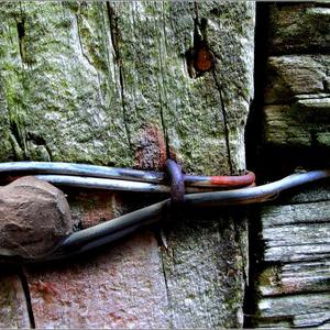 Piet Visagie se foto  â€œWine tieâ€ van â€˜n deurslot teen â€˜n gehawende houtdeur, het vir pragtige teksture gesorg. In die â€œTekstuurâ€ kategorie behaal hy â€˜n goue toekenning. 