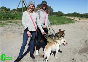 Animals@Peace sien om na BARC-honde