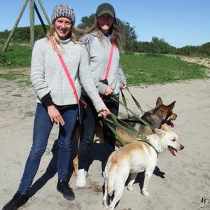 Twee groeplede van Animals@Peace, Sanchia Chivell (links) en Sammy Thompson in aksie tydens hulle staptog met twee van BARC se honde.  