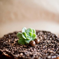 Gansbaai - Anna's Pies - Chocolate Cake