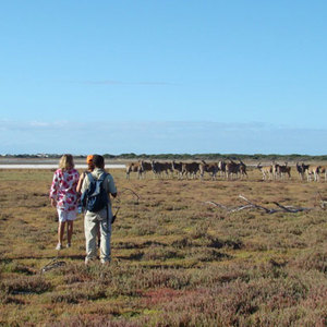 Explore the reserve on foot or on bike 