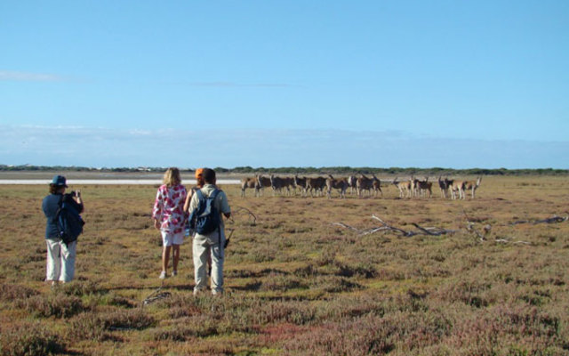 Explore the reserve on foot or on bike 