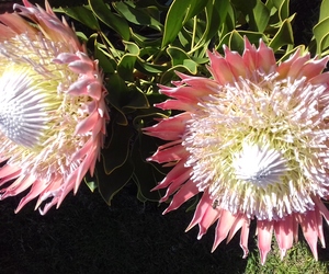 Seemeeu 3/2017: Gebed