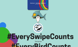 Become a Supportive Shopper