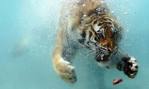 Big2Town Music Festival