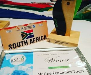 Marine Dynamics Wins Sustainable Tourism Award 2017