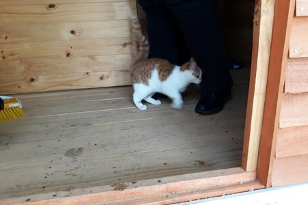 Tiff_Griff_new1__1508483686