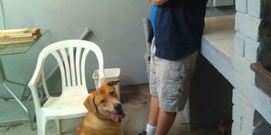 Veters_3__1508485819