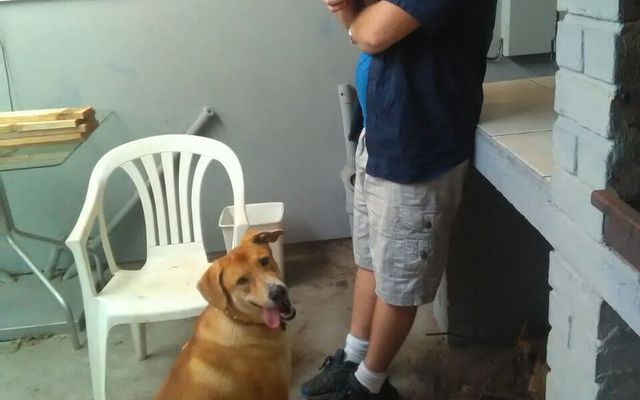 Veters_3__1508485819