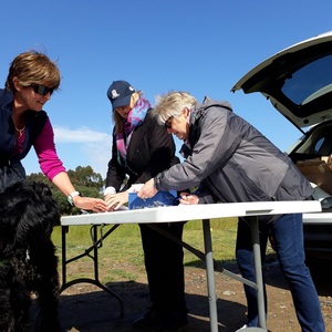 Nose_To_Tail_2017_8_new_1508486432