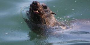 IMG_1139_580x387_1509634004