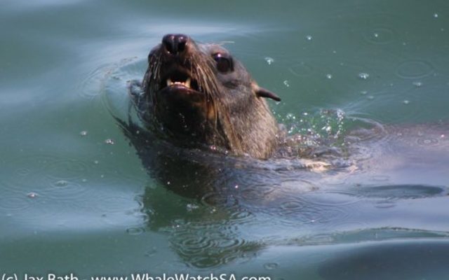 IMG_1139_580x387_1509634004