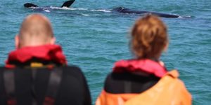 IMG_1177_580x387_1509634002