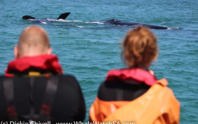 IMG_1177_580x387_1509634002