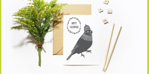Christmas Robin Card