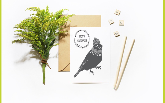 Christmas Robin Card