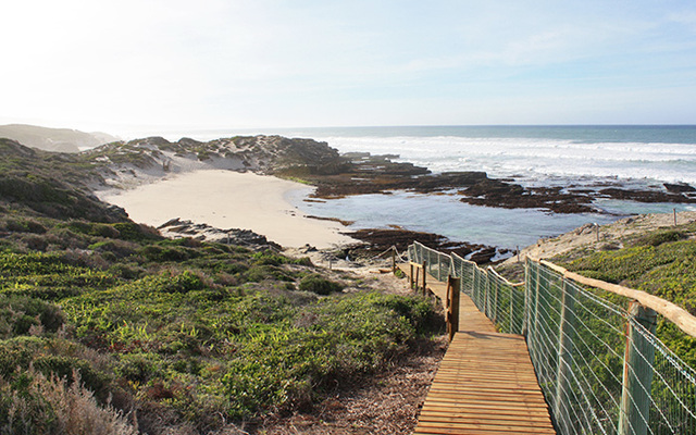 De Hoop Marine Walk De Hoop Marine Walk