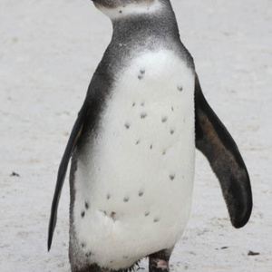 Fullscreen_capture_2017_11_06_033319_PM.bmp_1509975515