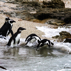 Release_23_Aug_3_1509975515