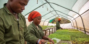 Grootbos Foundation Sustainable & Skills Upliftment projects