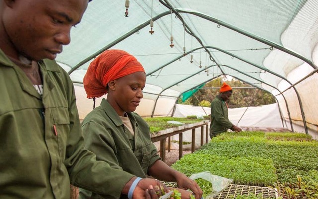 Grootbos Foundation Sustainable & Skills Upliftment projects