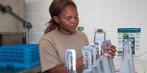 Grootbos Foundation Water Bottling Project at Siyakhula