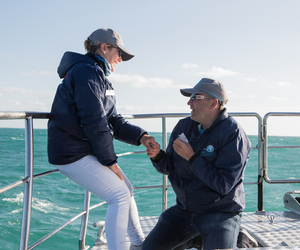 The Secret Shark Wedding