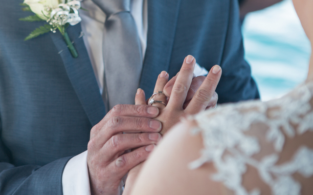 cage diving photographer, captured photography, sonja walker