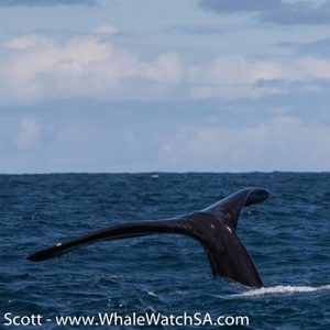 115A1206_580x406_1511593412