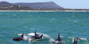 IMG_4366_580x387_1511593413