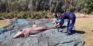 IMG_20171127_WA0005_1511944474