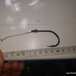 IMG_20171128_WA0004_1511944471