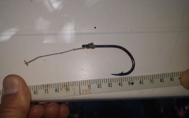 IMG_20171128_WA0004_1511944471