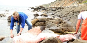 infanta2_001_1511944475