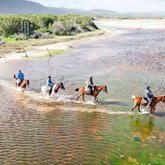 Horse riding through water
