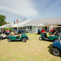 Golf carts