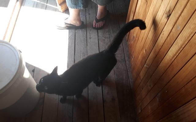 Arthur_3__1512038511