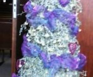 Seemeeu 4/2017: Kers en Nuwejaar wense 2017/18