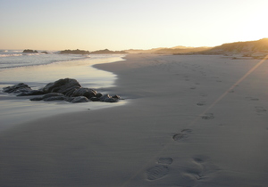 Pearly Beach Property: Houses and plots for sale 