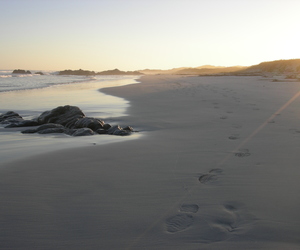 Pearly Beach Property: Houses and plots for sale 