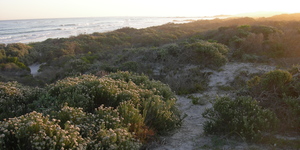 Nature walks in Pearly Beach