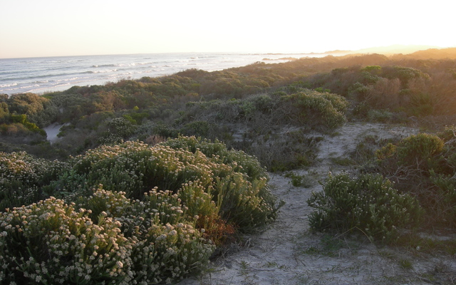 Nature walks in Pearly Beach
